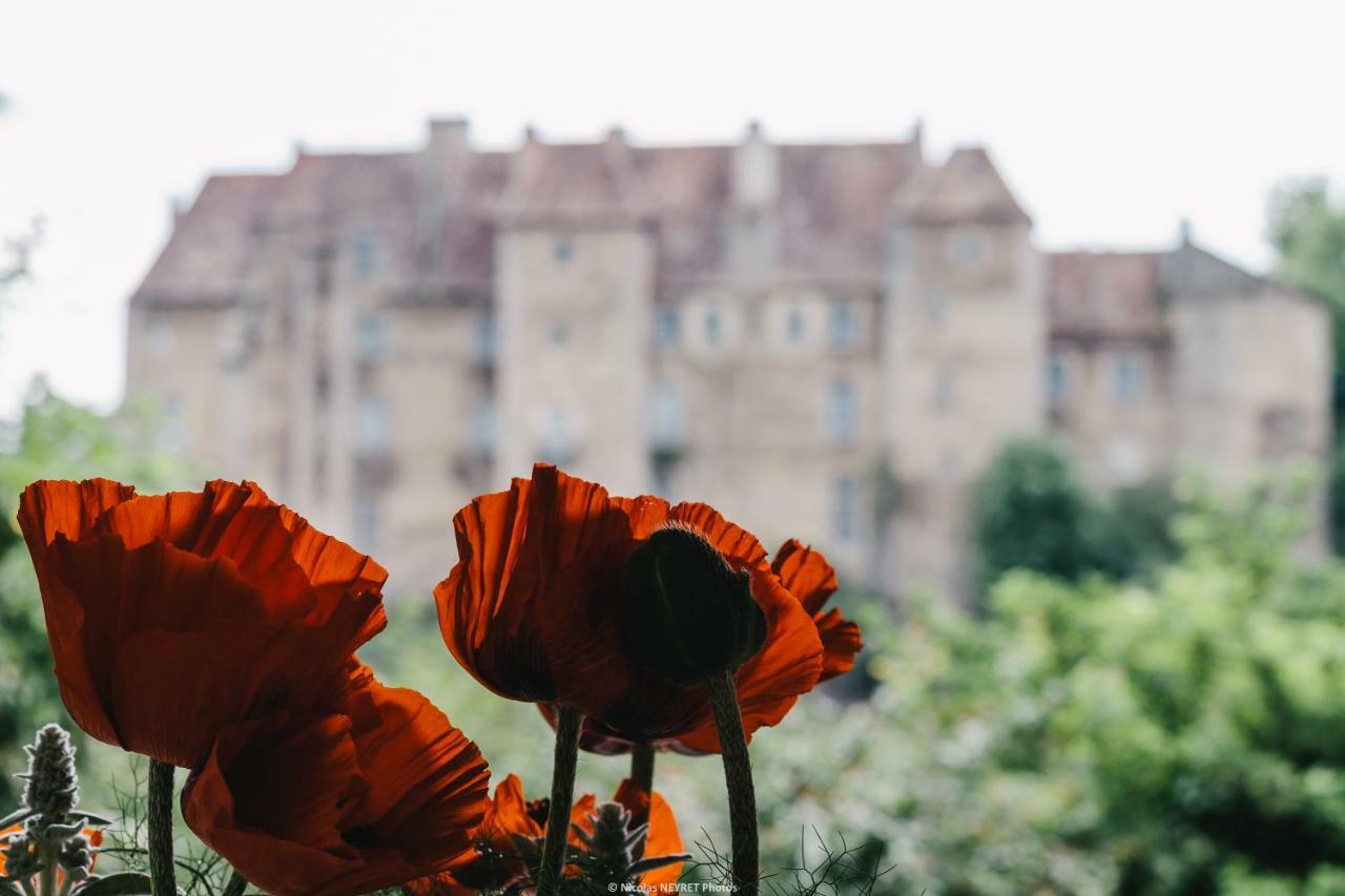 Chateau Vue Boussac Chambres D'Hotes エクステリア 写真